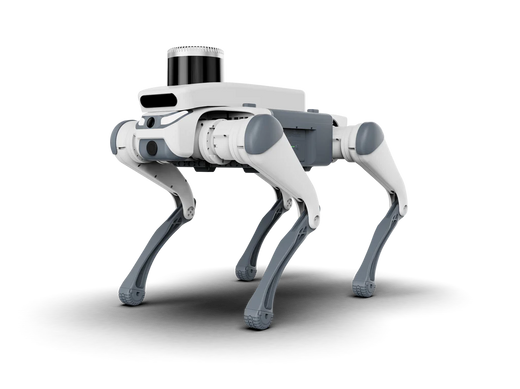 Deep Robotics Lite3 LiDAR