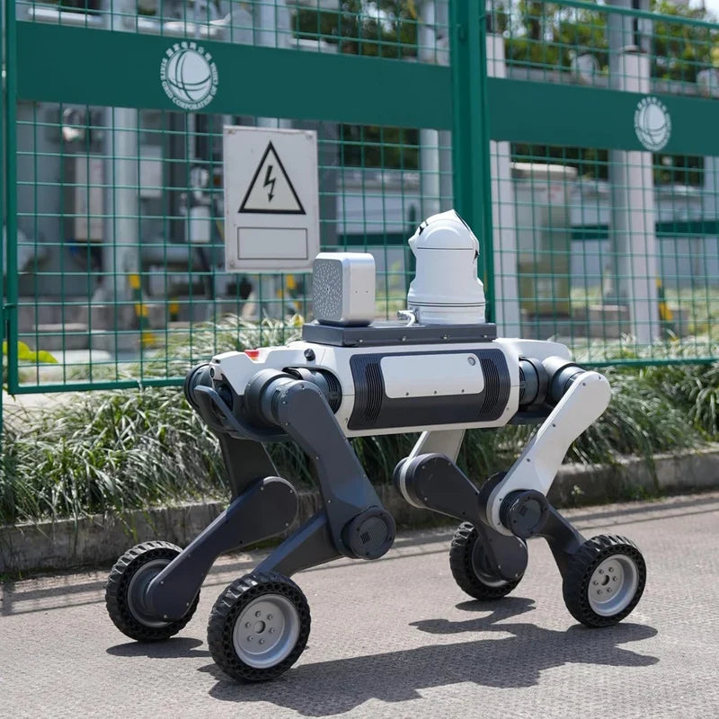 Deep Robotics