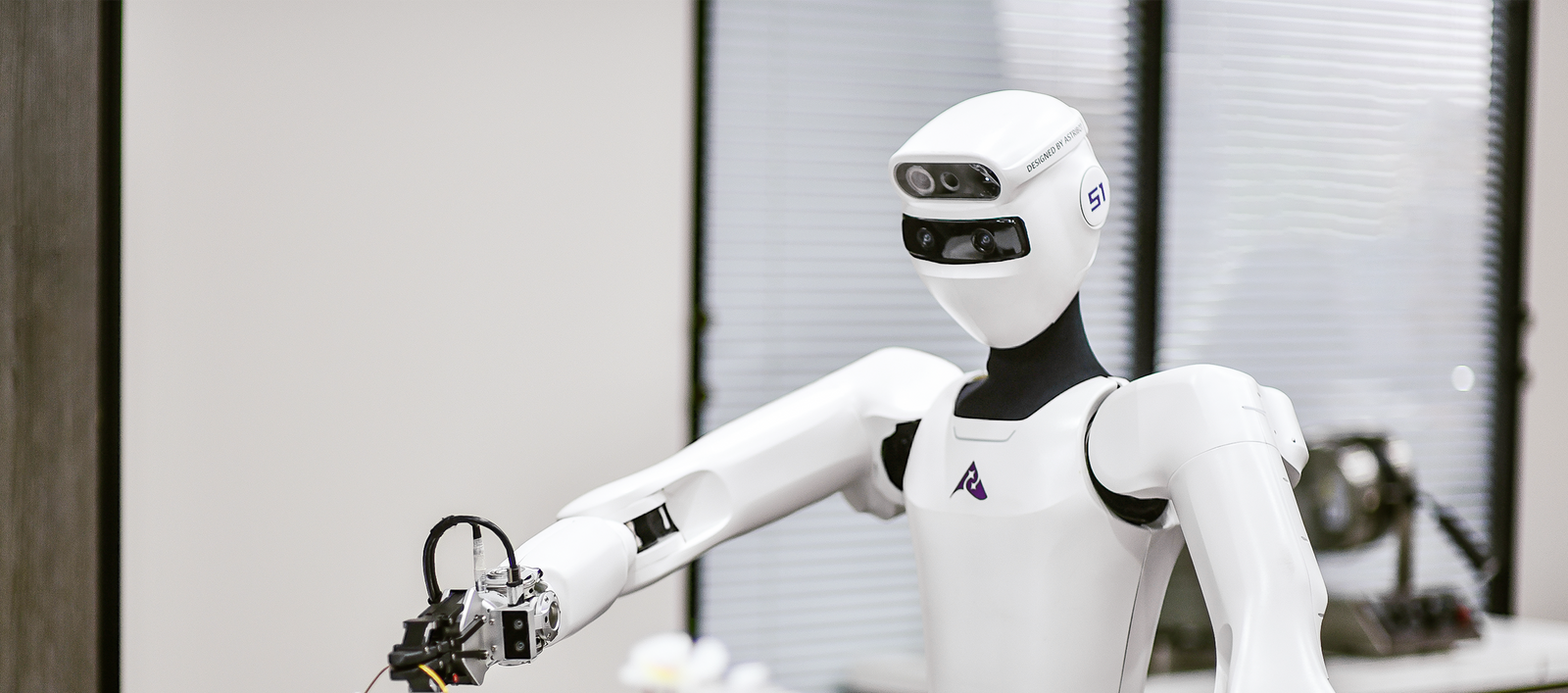 Humanoid Robots