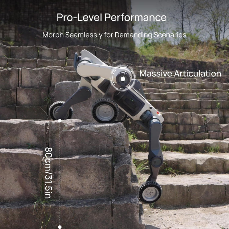 Deep Robotics Lynx M20 Pro