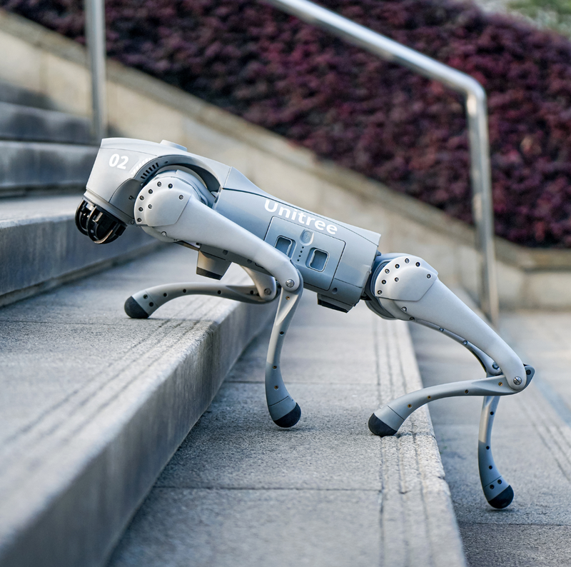 (Demo Product) Unitree Robotic Dog GO2 Pro Intelligent 4-Legged Design Dog Robot