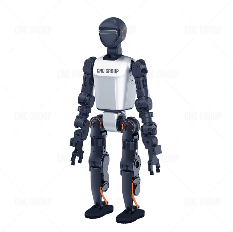 (Demo Product) Advanced AI Humanoid Robots with Smart Servo Control