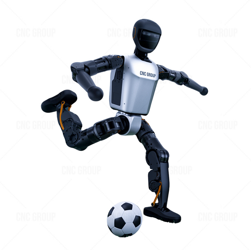 (Demo Product) Advanced AI Humanoid Robots with Smart Servo Control