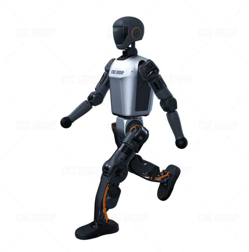 (Demo Product) Advanced AI Humanoid Robots with Smart Servo Control