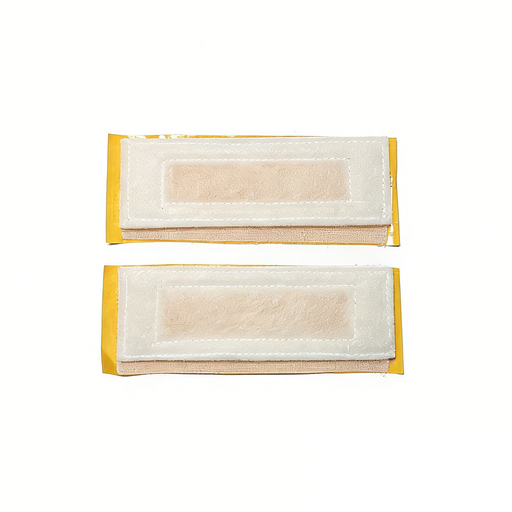 WYBOT C2 - Filter Cotton