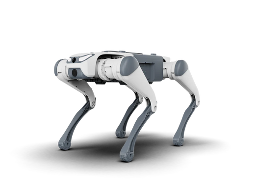 Deep Robotics Lite3 Basic