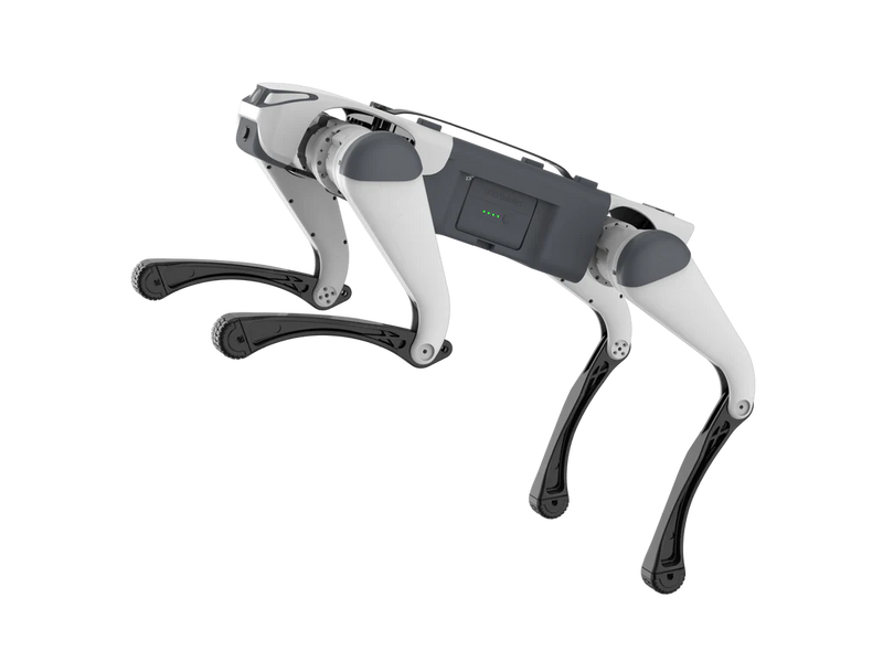 Deep Robotics Lite3 Basic AI